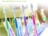 韓國(guó)廚房生活用品 熱門產(chǎn)品、價(jià)格參考與選購(gòu)指南